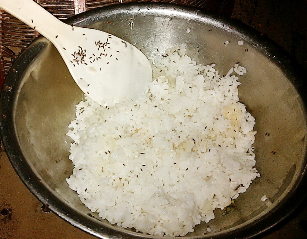 Xuất[-]hiện[-]côn[-]trùng[-]lạ[-]“tấn[-]công”[-]nhà[-]dân