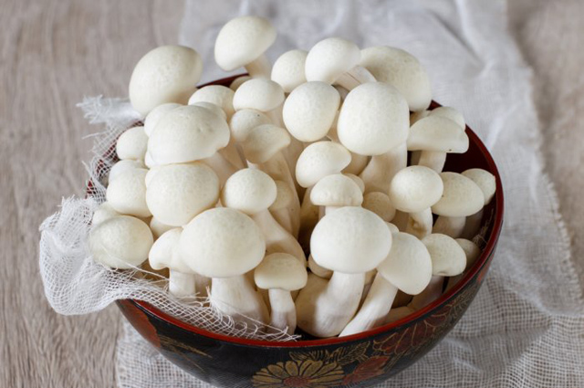 Ăn[-]gì[-]để[-]sống[-]thọ?