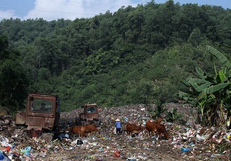 [-]Đồng[-]Nai[-]sẽ[-]đóng[-]cửa[-]20[-]bãi[-]rác[-]tạm[-]