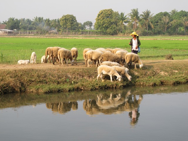 [-]Du[-]xuân[-]khám[-]phá[-]cung[-]đường[-]biển[-]Việt[-]bằng[-]xe[-]máy