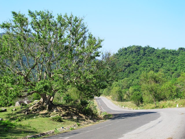 [-]Du[-]xuân[-]khám[-]phá[-]cung[-]đường[-]biển[-]Việt[-]bằng[-]xe[-]máy