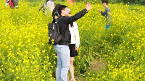 Giẫm[-]nát[-]vườn[-]cải[-]để...[-]chụp[-]ảnh[-]đăng[-]“phây”