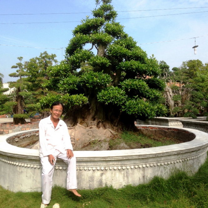Hai[-]Khế[-]300[-]năm[-]tuổi[-]giá[-]7[-]tỷ[-]đồng[-]thu[-]hút[-]du[-]khách[-]hội[-]hoa[-]xuân