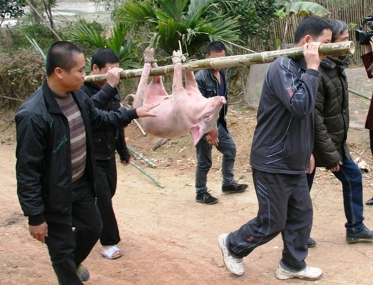 Thanh[-]Hóa:[-]Độc[-]đáo[-]tục[-]“ngủ[-]mái”[-]của[-]người[-]Thổ[-]ở[-]xứ[-]Thanh
