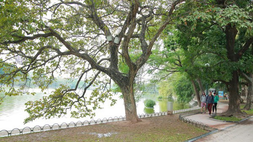 Nhiệt[-]độ[-]Miền[-]Bắc[-]tiếp[-]tục[-]tăng[-]mạnh,[-]vùng[-]núi[-]Bắc[-]Bộ[-]và[-]Trung[-]Bộ[-]nắng[-]nóng[-]36[-]độ[-]C