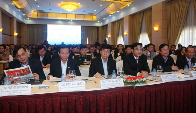 Nghiên[-]cứu[-]trồng[-]250.000ha[-]cây[-]mắc[-]ca[-]trong[-]5[-]năm[-]tới[-]tại[-]Tây[-]Nguyên
