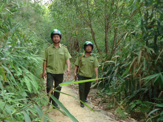 [-]Bình[-]Dương:[-]Tăng[-]cường[-]các[-]biện[-]pháp[-]phòng[-]chống[-]cháy[-]cho[-]hàng[-]trăm[-]nghìn[-]ha[-]cao[-]su[-]