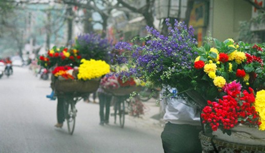 Những chiếc xe đạp chở hoa trên phố 9