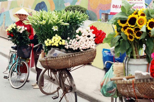 Những chiếc xe đạp chở hoa trên phố 14