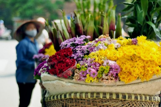 Những chiếc xe đạp chở hoa trên phố 3