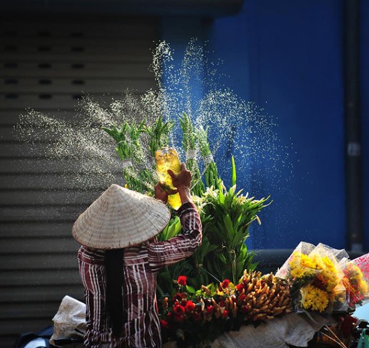 Những chiếc xe đạp chở hoa trên phố 16
