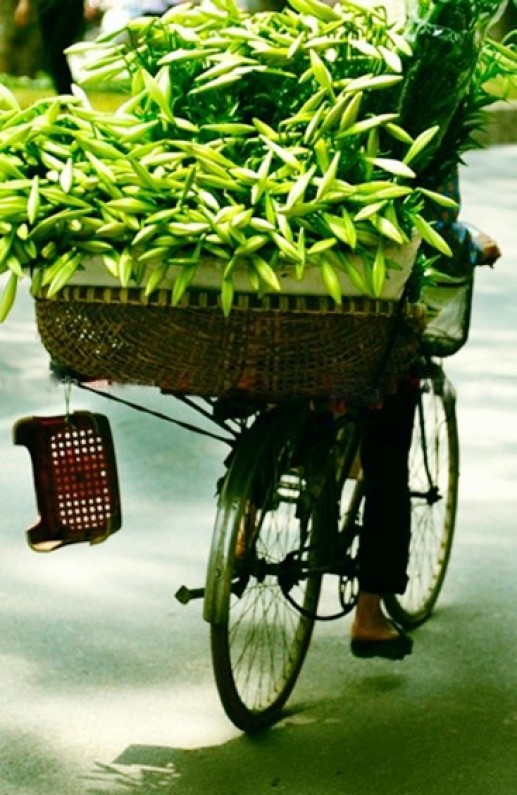 Những chiếc xe đạp chở hoa trên phố 6