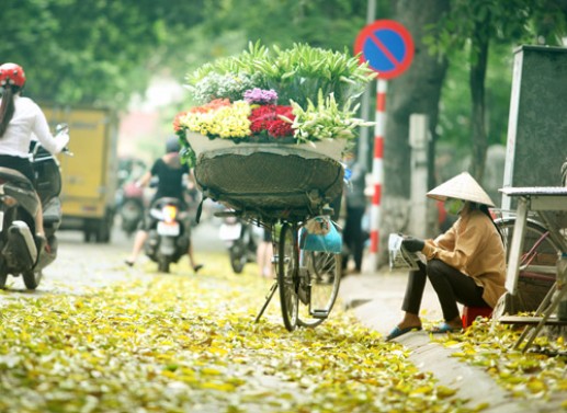 Những chiếc xe đạp chở hoa trên phố 19
