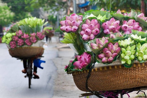 Những chiếc xe đạp chở hoa trên phố 20