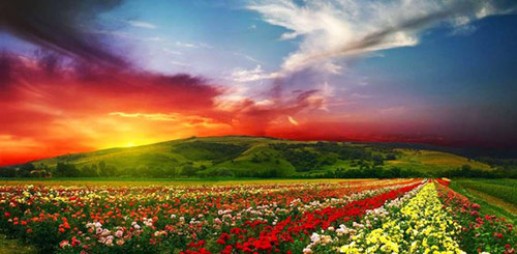 Ngắm vẻ đẹp những "thiên đường sắc màu" long lanh nhất trên Trái Đất