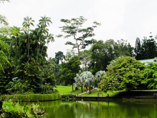 Những bức ảnh hút hồn du khách khi đến Singapore 3