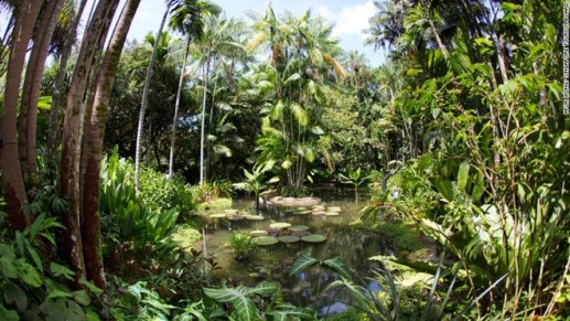 Những bức ảnh hút hồn du khách khi đến Singapore 4
