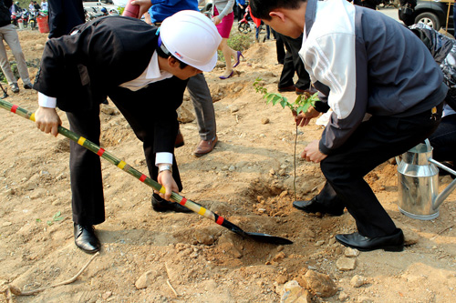 Tuổi[-]trẻ[-]ngành[-]điện[-]trồng[-]cây[-]xanh[-]hưởng[-]ứng[-]Giờ[-]Trái[-]đất