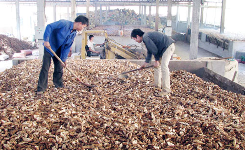 Tây[-]Ninh[-]không[-]cấp[-]phép[-]xây[-]mới[-]nhà[-]máy[-]chế[-]biến[-]bột[-]sắn[-]để[-]hạn[-]chế[-]ô[-]nhiễm