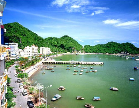 Hải[-]Phòng:[-]Kiểm[-]tra,[-]lập[-]hồ[-]sơ[-]xử[-]lý[-]đối[-]với[-]16[-]tổ[-]chức[-]vi[-]phạm[-]pháp[-]luật[-]về[-]đất[-]đai