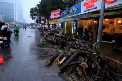 "Chặt[-]cây[-]xanh[-]Hà[-]Nội[-]không[-]phải[-]hỏi[-]dân"