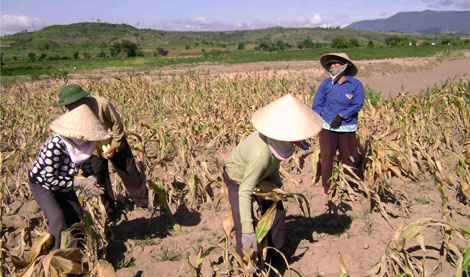Công[-]điện[-]về[-]chống[-]nắng[-]nóng,[-]hạn[-]hán[-]ở[-]Tây[-]Nguyên