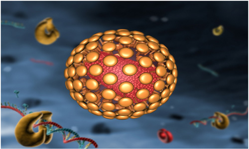 Tìm[-]thấy[-]vi[-]khuẩn[-]chống[-]lại[-]HIV