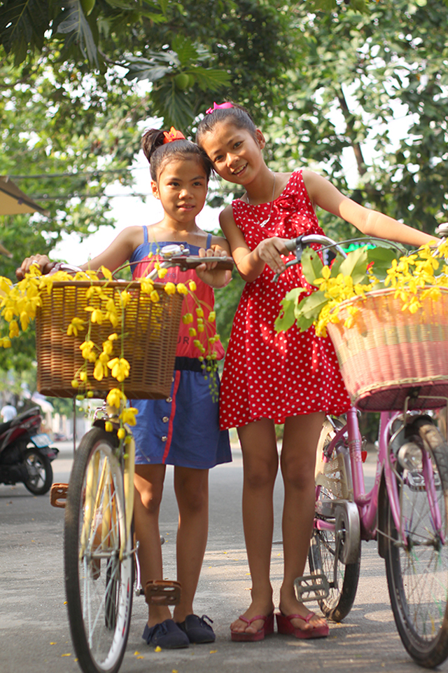 [-]Sài[-]Gòn[-]mùa[-]hoa[-]bò[-]cạp[-]vàng