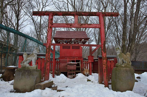 Khám[-]phá[-]làng[-]cáo[-]ở[-]Nhật[-]Bản
