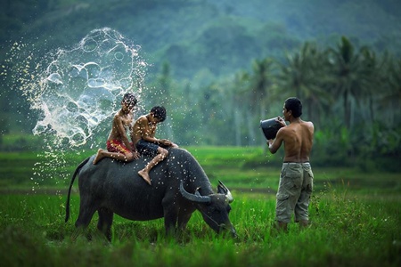 Chiêm[-]ngưỡng[-]những[-]khoảnh[-]khắc[-]đồng[-]quê[-]tuyệt[-]đẹp[-]không[-]nên[-]bỏ[-]lỡ[-]