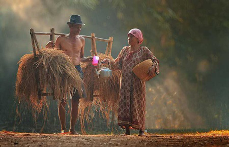 Chiêm[-]ngưỡng[-]những[-]khoảnh[-]khắc[-]đồng[-]quê[-]tuyệt[-]đẹp[-]không[-]nên[-]bỏ[-]lỡ[-]