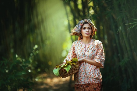 Chiêm[-]ngưỡng[-]những[-]khoảnh[-]khắc[-]đồng[-]quê[-]tuyệt[-]đẹp[-]không[-]nên[-]bỏ[-]lỡ[-]