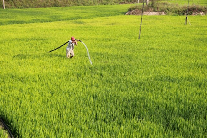 [-]Hạn[-]nặng[-]đầu[-]mùa[-]khô