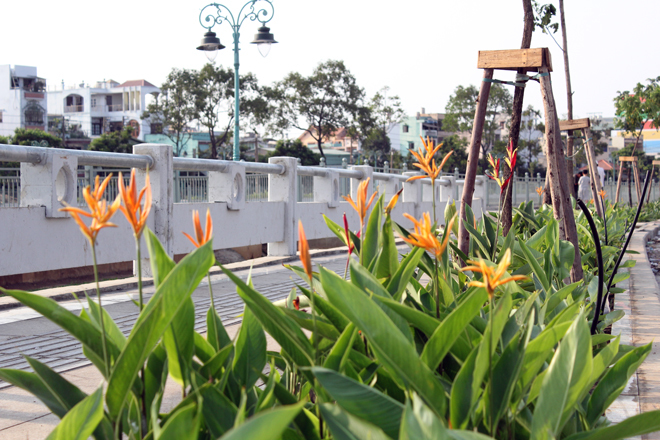 [-]TP[-]HCM:[-]Kênh[-]ô[-]nhiễm[-]nhất[-]sắp[-]được[-]cải[-]tạo[-]xong
