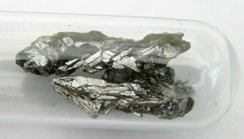Đột[-]biến[-]gene[-]trong[-]co[-]thể[-]cộng[-]đồng[-]người[-]ở[-]Argentina[-]có[-]thể[-]giúp[-]tránh[-]độc[-]thạch[-]tín