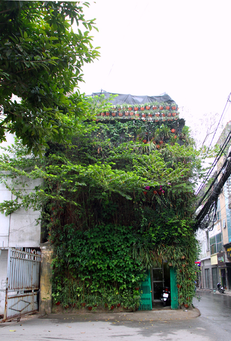 Độc[-]đáo[-]với[-]nhà[-]phủ[-]kín[-]cây[-]xanh[-]cả[-]ba[-]tầng[-]ở[-]Hà[-]Nội
