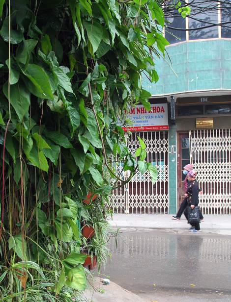 Độc[-]đáo[-]với[-]nhà[-]phủ[-]kín[-]cây[-]xanh[-]cả[-]ba[-]tầng[-]ở[-]Hà[-]Nội
