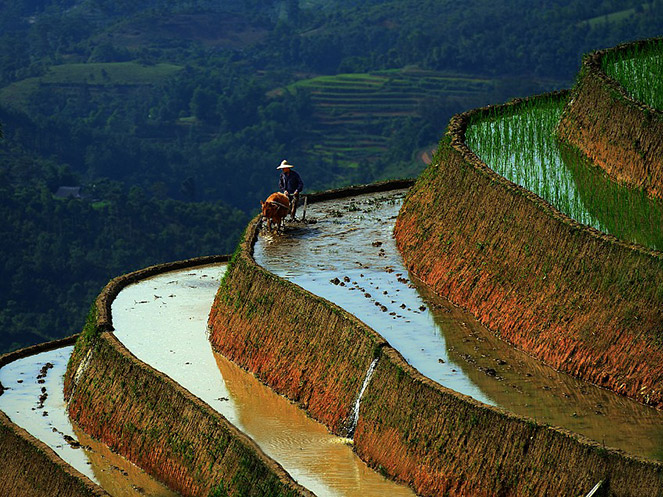 Chiêm[-]ngưỡng[-]bộ[-]ảnh[-]“Tận[-]hưởng[-]bản[-]sắc[-]Việt”