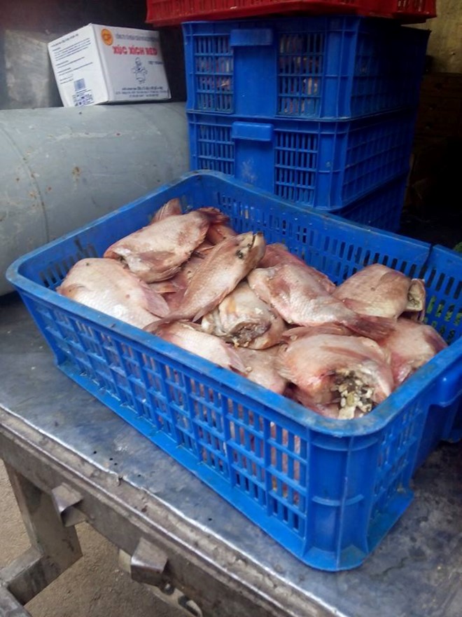 Bình[-]Dương:[-]Công[-]ty[-]nấu[-]thực[-]phẩm[-]“bẩn”[-]cấp[-]đến[-]14.000[-]suất/ngày[-]cho[-]18[-]trường[-]học