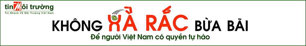 KHÔNG XẢ RÁC BỪA BÃI - ALBUM