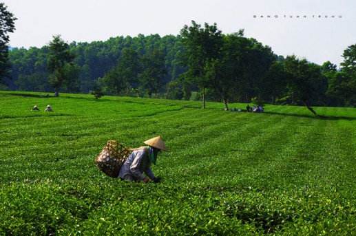Chiêm ngưỡng cảnh non nước hữu tình của Bắc bộ Việt Nam 