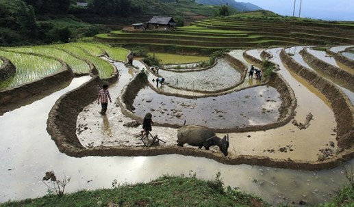 Vẻ đẹp Sa Pa quyến rũ mùa nước đổ 