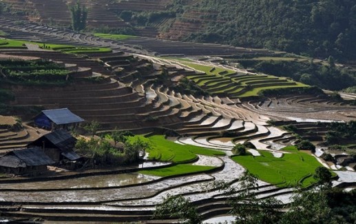 Vẻ đẹp Sa Pa quyến rũ mùa nước đổ 