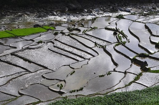 Vẻ đẹp Sa Pa quyến rũ mùa nước đổ 