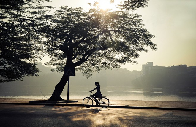 Việt[-]Nam[-]tuyệt[-]đẹp[-]trong[-]bộ[-]lảnh[-]"Vì[-]cộng[-]đồng"