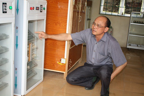 Bảo[-]tồn[-]nguồn[-]gen[-]gà[-]Lôi[-]trắng[-]góp[-]phần[-]phát[-]triển[-]đa[-]dạng[-]sinh[-]học