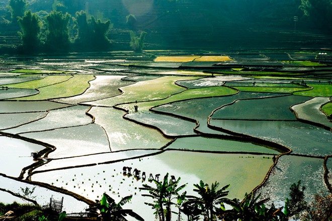 Việt[-]Nam[-]tuyệt[-]đẹp[-]trong[-]bộ[-]lảnh[-]"Vì[-]cộng[-]đồng"