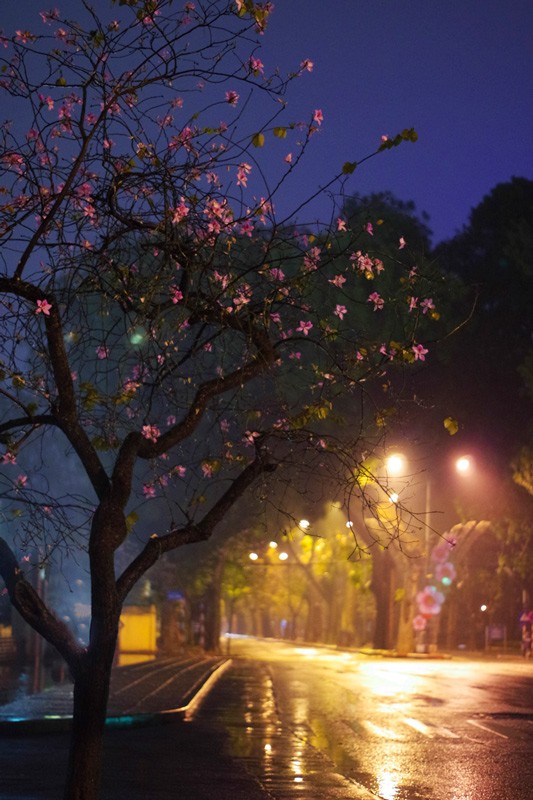 Việt[-]Nam[-]tuyệt[-]đẹp[-]trong[-]bộ[-]lảnh[-]"Vì[-]cộng[-]đồng"