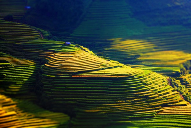 Việt[-]Nam[-]tuyệt[-]đẹp[-]trong[-]bộ[-]lảnh[-]"Vì[-]cộng[-]đồng"