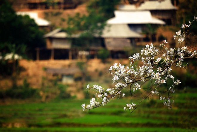 Việt[-]Nam[-]tuyệt[-]đẹp[-]trong[-]bộ[-]lảnh[-]"Vì[-]cộng[-]đồng"